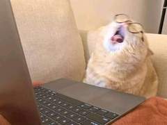 [MPS] This is a story about love