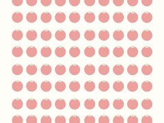 [ 100일 챌린지 ] 토마토 100일 챌린지