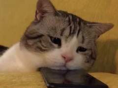 [MPS] This is a story about love