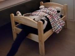 [MPS] This is a story about love