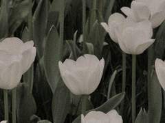 윤미가 너희에게 하고 싶은 말