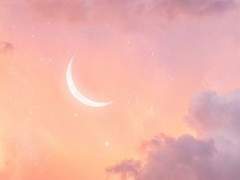 봄은 이제 갔어.