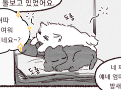 [민원/준잇] 고양이 수인이 하나.. 둘?! 5화