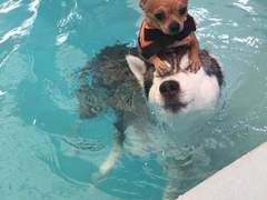 제목을 입력하세요..