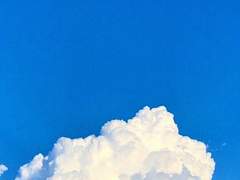 [하쿠카이] 여름