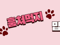 [하데아젬휘틀] 쿠키를 훔쳐먹지 맙시다.