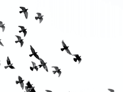 『데모』에 대한 대담