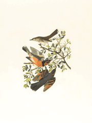 웹툰 탈_2차 연성