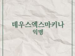 데우스엑스마키나