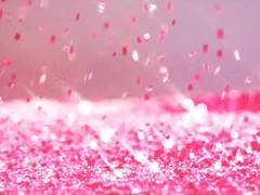 화려한 주인공처럼