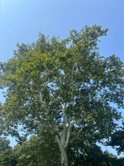 #해가_가장_늦을_때마저도