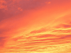 Humans must have the courage to lose the coastline to discover new seas.