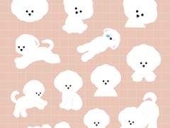 굿노트 비숑 꿈꾸미 스티커