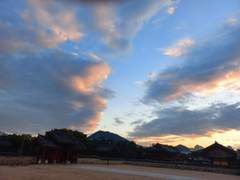 왜? 몰랐나? 어미를!