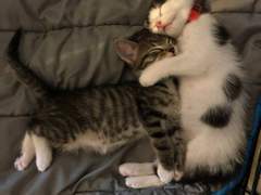 [뭉꿀] This is a story about love