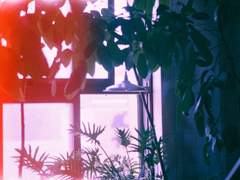 필연적인 기다림