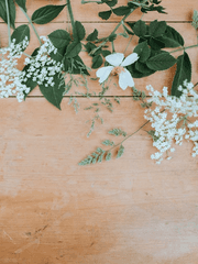 [다이에이] 단편