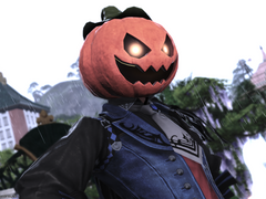 청마도사 뉴비 가이드