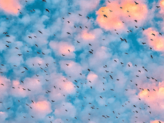 도롱님 개인타로