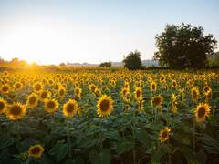 [최한케일] 지나간 찬란