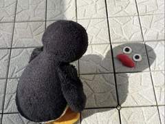 폭식 후 관리법