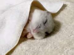 [션견] This is a story about love