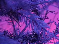 나에게는 구원이 전부였는데