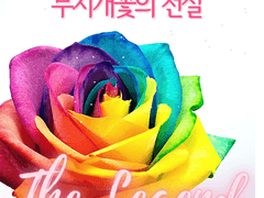 1. 생명을 빚은 밤