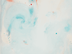 [하비로이] 우산