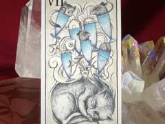 이번 주의 타로 카드: 7 of Cups