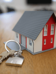 [커뮤] 동거 시티