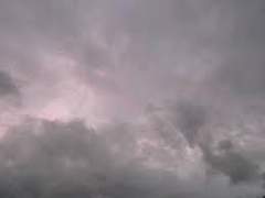 본격 허 임 맛집 만들기 프로젝트