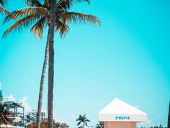 [소설] 명일방주, Blue the Irresistible (실버애쉬 드림) (7,786자)