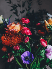 거부할 수 없는 향기