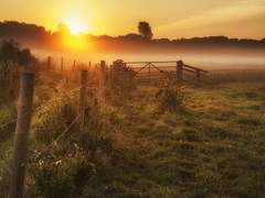 셰인 X 플레이어 - 시끄러운 낙원 (Chapter 3)