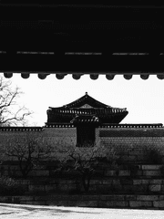 사바하의 도련님