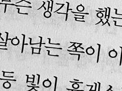 성씨 강 해할 해 잃을 상