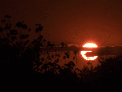 겨우 평범한 사이 | 6