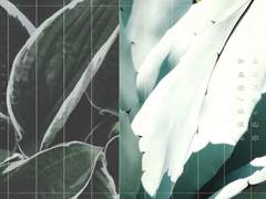 [송성/태원현제] Unmute