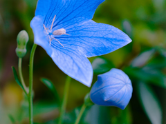 2000년대 피폐판타지 로판 감성에 갇혀버림