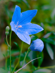 2000년대 피폐판타지 로판 감성에 갇혀버림 시리즈