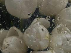 윤미 집단폭행 당한 썰