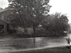 윤미가 너희에게 해주고 싶은 말 2