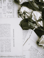 천법야차전[千法夜叉傳]