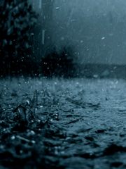 [완결] 비밀도, 진실도