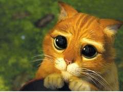 여러분 뭐 하나만 양해 바랍니다