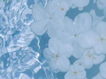 Colleen Veronica ✦