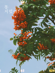 비주기적 주인장 이야기