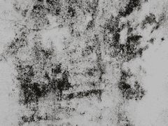 [당청] 사천당가식 타투