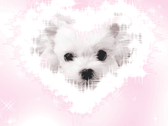 배경화면 틴케이스 도안 공유 ☆